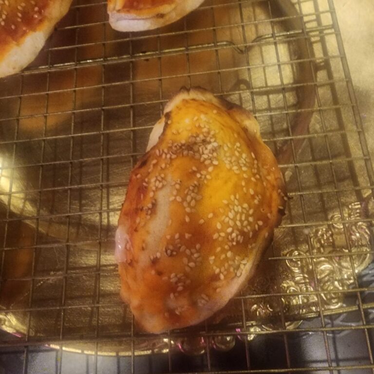 Empanada argentina pollo